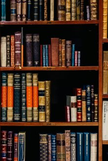 Books on wooden shelves Photo by Iñaki del Olmo on Unsplash